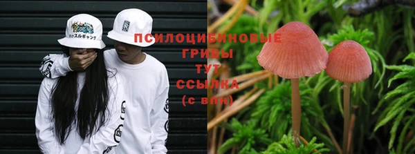 а пвп мука Аркадак