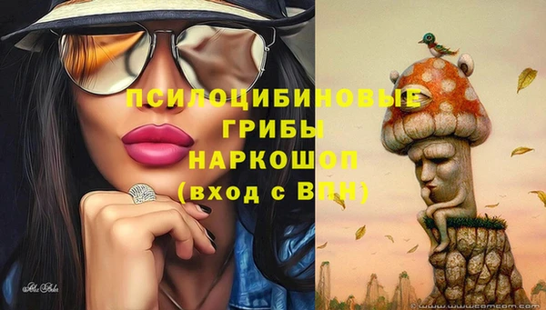 СК Арсеньев
