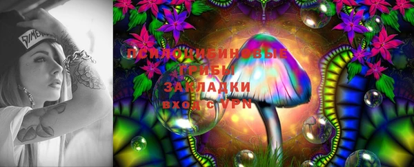 PSILOCYBIN Армянск