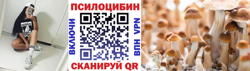 Галлюциногенные грибы мухоморы Купить закладки Сухой Лог